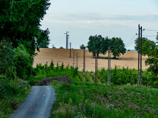 Strommasten im Feld
