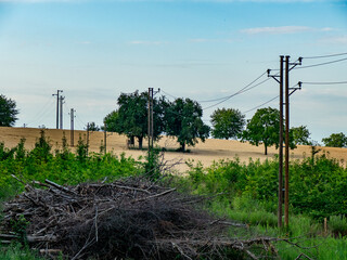 Strommasten im Feld