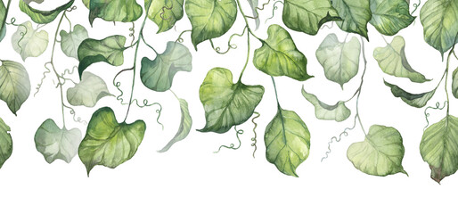 Long horizontal banner with hanging ivy and creeper leaves. Watercolor hand painted botanical design for floral header, pages and cards 