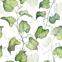 Square seamless pattern with detailed high resolution ivy and vine plants, juicy green leaves. Watercolor botanical design for textile, wallpapers, wrapping paper, clothing patterns