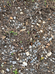 Close-up of dry soil with scattered gravel, dry grass, green blades, and organic debris. Captures natural ground texture ideal for environmental, agricultural, or terrain design themes.