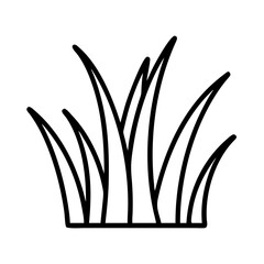 Simple line drawing of grass or a similar plant with elongated leaves