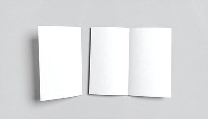 Blank brochure mockup