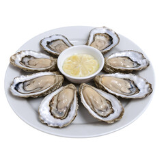 raw oysters on a plate isolated on transparent background