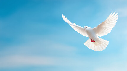Fototapeta premium A pure white dove is in mid-flight, showcasing its magnificent wingspan against a backdrop of bright blue sky and soft clouds. The scene captures a sense of freedom and peace