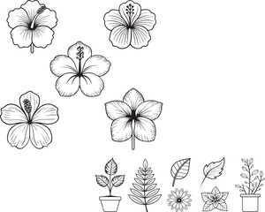 vector set of flowers