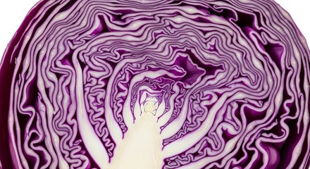 Obraz premium Red cabbage cross section showing the inner leaf pattern