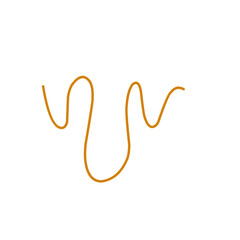 hand drawn organic lines