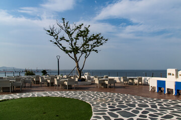 outdoor cafe with tree at the seaside