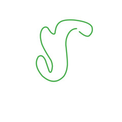 hand drawn organic lines