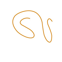 hand drawn organic lines