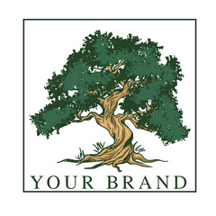 Vintage tree logo design featuring a majestic old tree with sprawling branches inside a circular frame, complemented by a dark ribbon banner for customizable text.