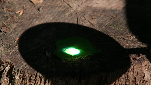 Die Kraft der Sonne b&uuml;ndeln, Experiment mit Sonnenlicht B&uuml;ndelung mit einer Brennglas Lupe, Hitzeentwicklung durch geb&uuml;ndeltes konzentriertes Licht