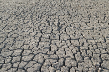 Dry soil cracks due to bad environment.