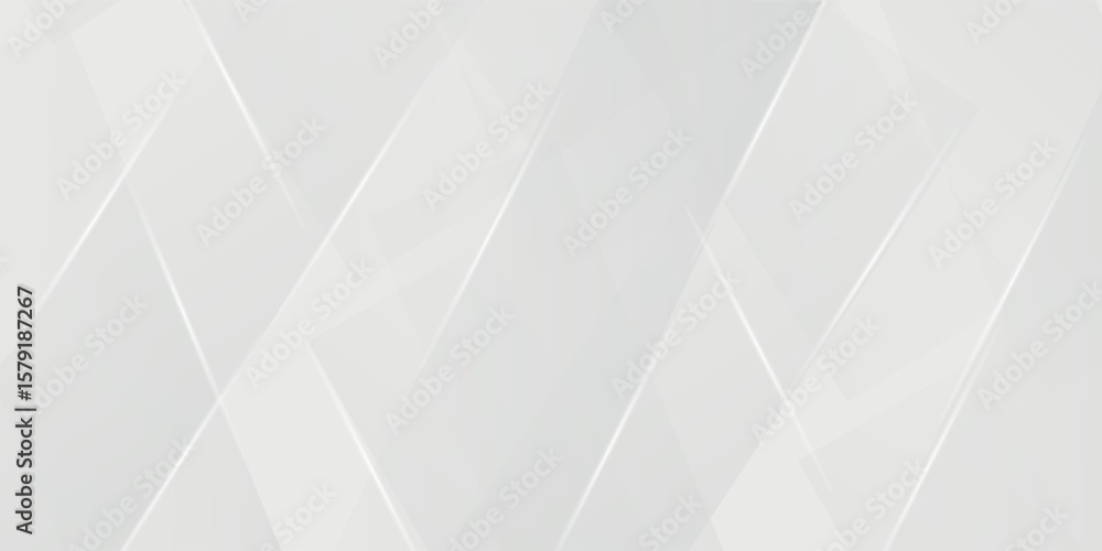 Poster abstract white and gray background. smooth abstract background, blurred pattern. light pale vector b
