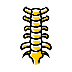 Human Spine hand drawing icon for web and graphic design
