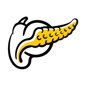 Human Pancreas hand drawing icon for web and graphic design