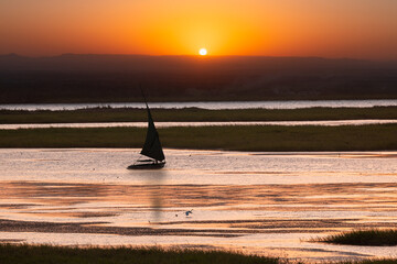 Silhouette of sailing Felucca sailboats on River Nile at sunset - Aswan, Egypt