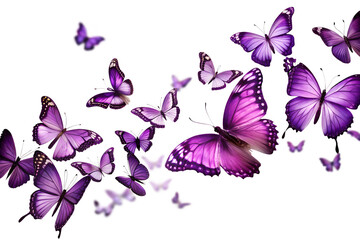 Purple Butterfly Swarm; Dark Background; Elegant, Dreamy, Magical,  Intricate Wings;  High-Resolution Stock Image.