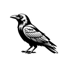silhouette of a realistic crow in black and white vector art