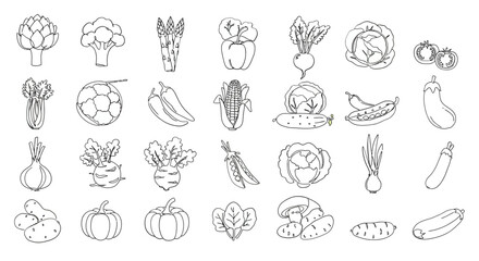 Vegetable Line Art Drawings Asparagus Broccoli Cauliflower Peppers Tomatoes Corn Eggplant Potatoes Pumpkins