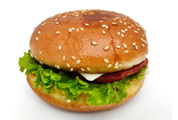Close-up of Burger on White Background