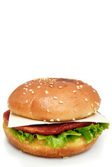 Studio Shot of Burger with Lettuce and Cheese