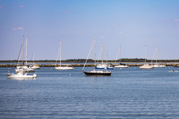 Obraz premium Group of Sailboats in Harbor