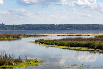 Fototapeta premium Coastal Wetland with Reflections