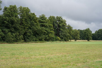 Sommerlandschaft am Pankeweg in Berlin-Buch