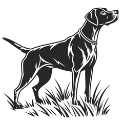 Elegant dog stands in grass, showcasing its sleek collar within the monochrome illustration