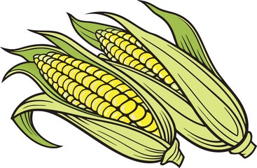 Two Fresh Corn on the Cob Illustration