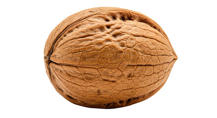 Isolated walnut close up shot for healthy eating and snack food concept, nutrition and diet plans idea
