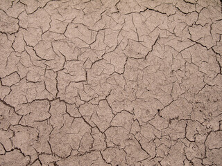 Cracked earth, silt. Texture of the earth surface, brown background.