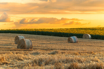 Stubble field with straw bales in the field.