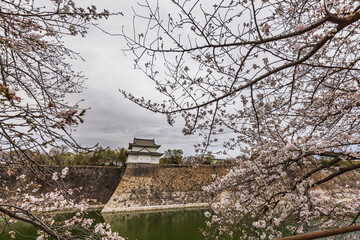 Stunning view of Edo Castle's stone wall and turret, framed by vibrant cherry blossoms in full...