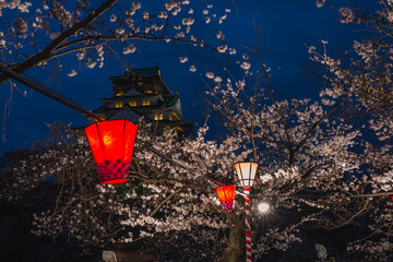 Osaka Castle illuminated at night, with cherry blossoms in full bloom.  Red and white lanterns hang...
