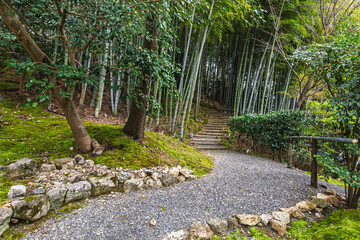 Serene gravel pathway winds through a lush Japanese garden, leading to stone steps nestled within a...