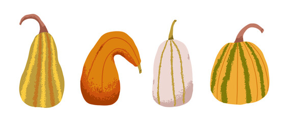 Fall autumn pumpkins for halloween or thanksgiving holiday. Flat minimal illustration with texture