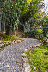 Serene gravel pathway winds through a lush bamboo forest in Japan, leading to stone steps.  Moss-covered rocks and vibrant greenery create a tranquil, meditative atmosphere. Perfect for zen garden,
