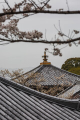 Serene view of a traditional Japanese temple roof adorned with a golden finial, partially obscured...