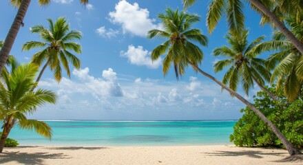 Tropical beach paradise (32)