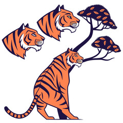 Obraz premium A striped wild animal, a tiger, standing isolated on a white or black background