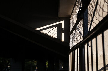 L1005379.JPG