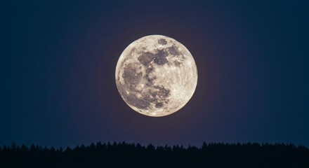 Fototapeta premium Full moon over forest