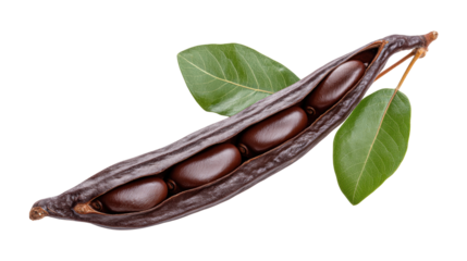 Carob pod isolated on transparent background with green leaves showing seeds inside natural fruit