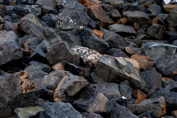 The multiple overlapping rock layers background.