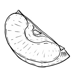 Sketch apple illustration