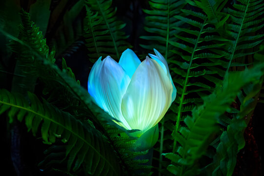 Fantasy Flora: Vibrant Glow Amidst Lush Green Foliage