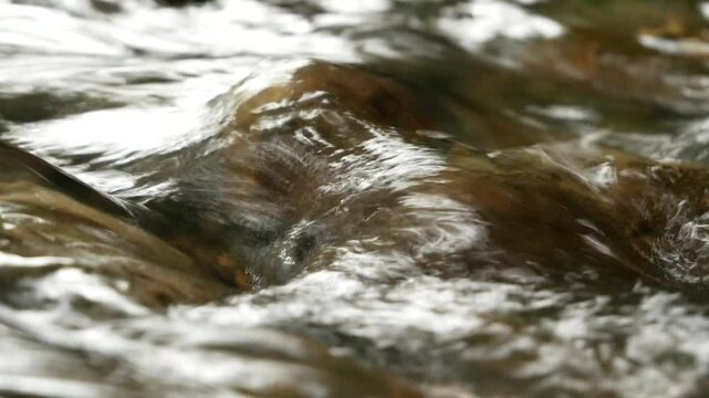 babbling water in a stream